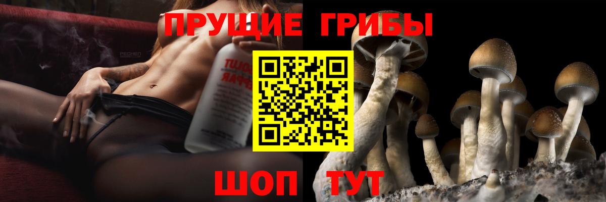 Псилоцибиновые грибы мицелий Чебаркуль