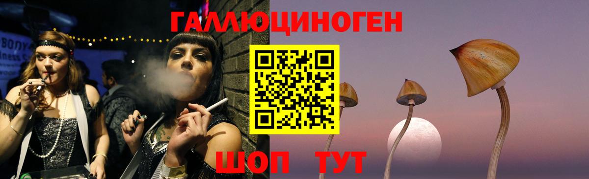 Галлюциногенные грибы GOLDEN TEACHER  Вход с VPN  Чебаркуль  Псилоцибиновые грибы Psilocybe 